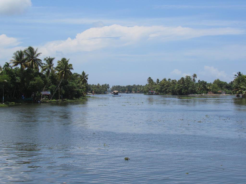 Villa Marari Dreamz Alappuzha Habitación foto